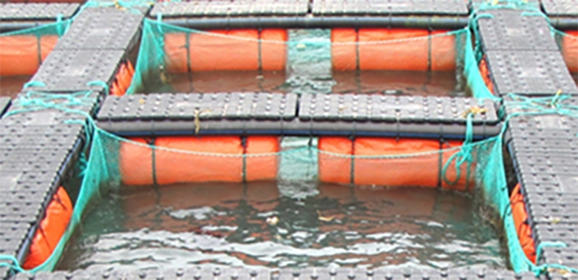 epp材料(liào)會(huì)致癌嗎EPP包(bāo)裝